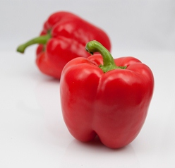 Capsicum Paprika F1 Yecla