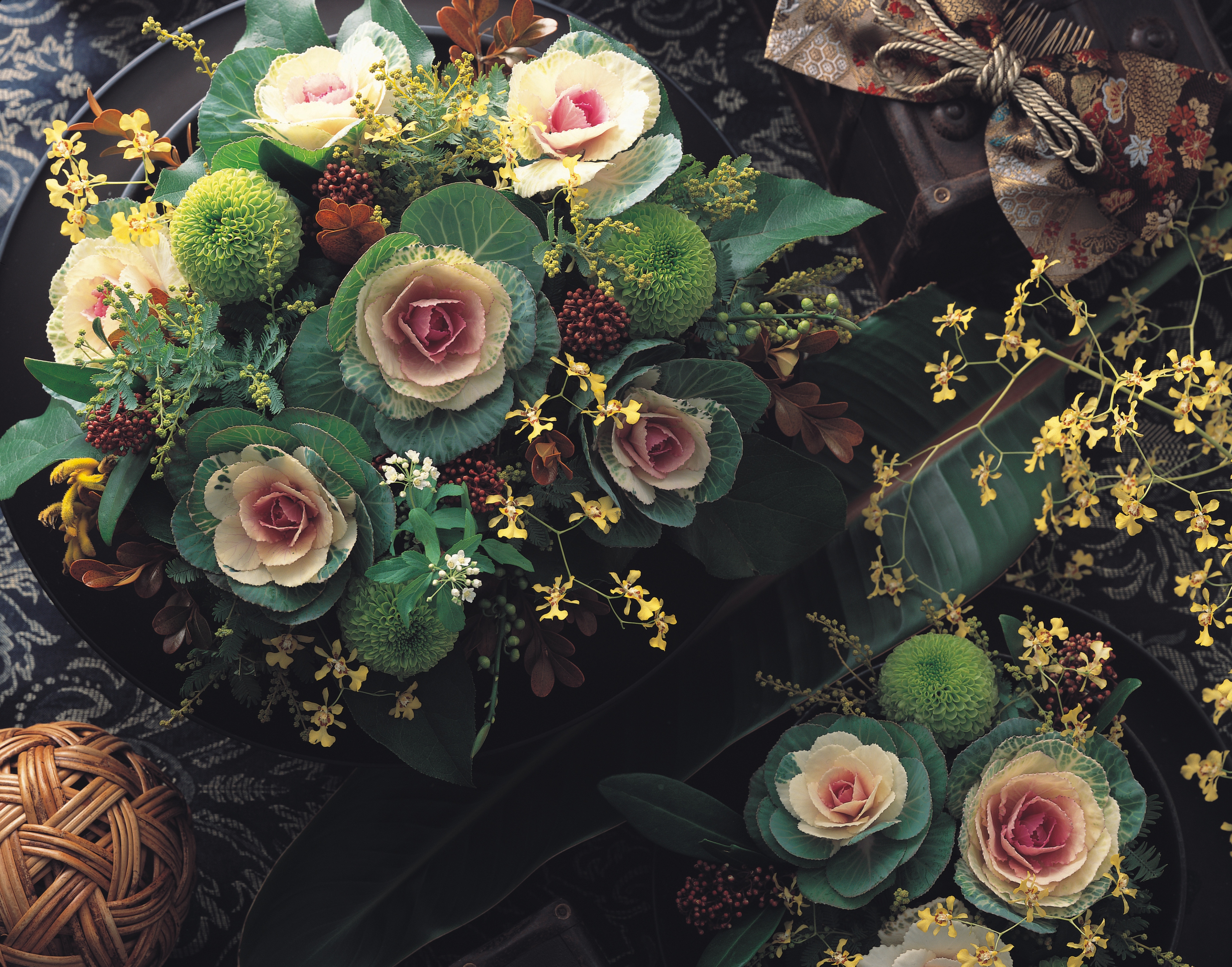 Zierkohl F1 Crane Weiß